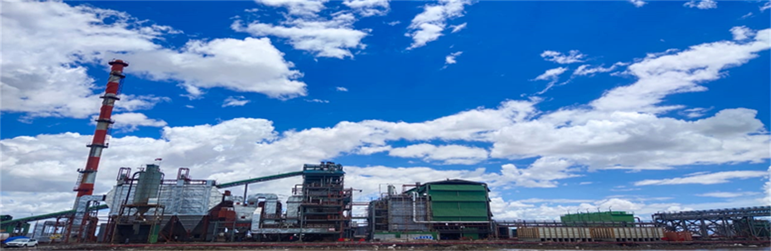 Specialized Bromine Chemical Processing Plants Satyesh columns